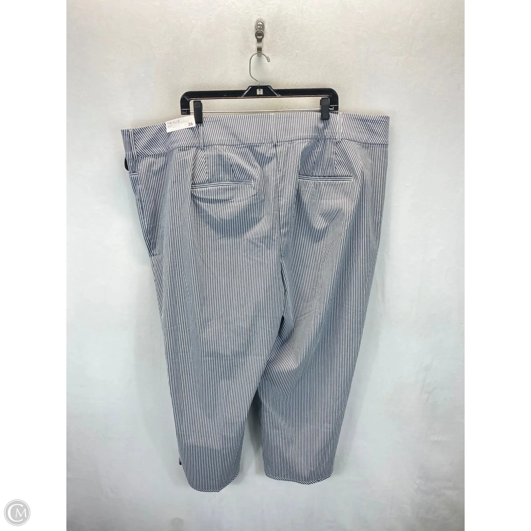 Pants Chinos & Khakis By Lane Bryant In Grey & White. Size: 26