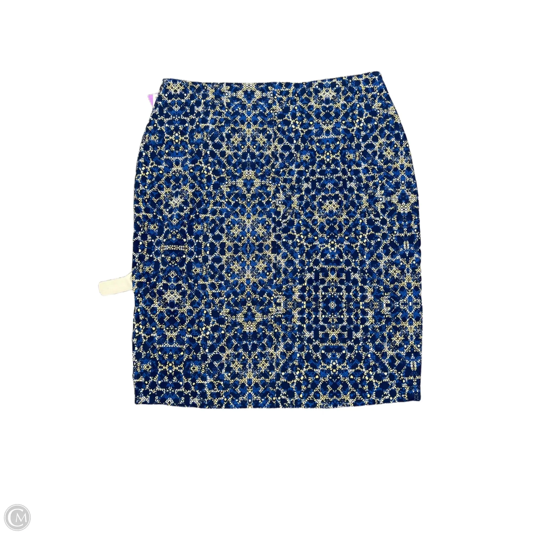 Skirt Mini & Short By Lysse In Blue. Size: Xl